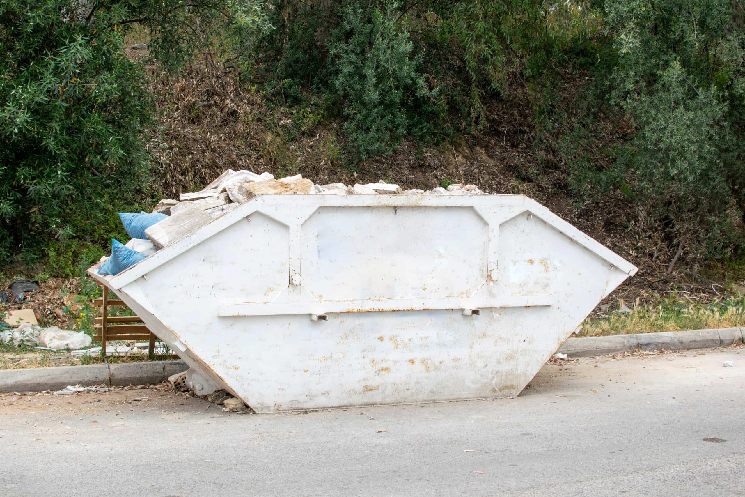 White Skip
