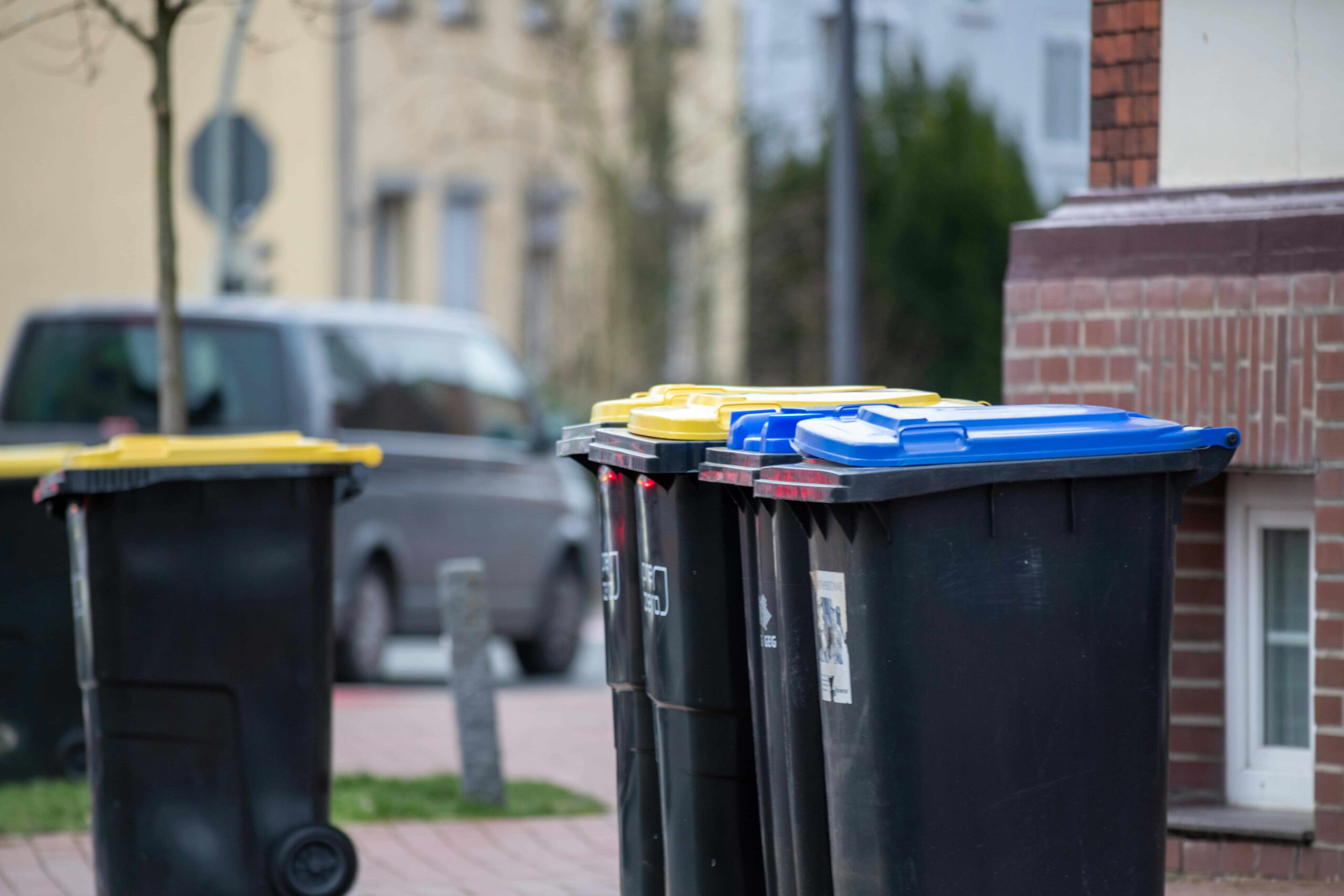 wheelie bins