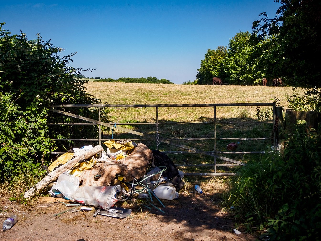 Regions Could See Fly-Tipping Increase by As Much As 70% This Year 