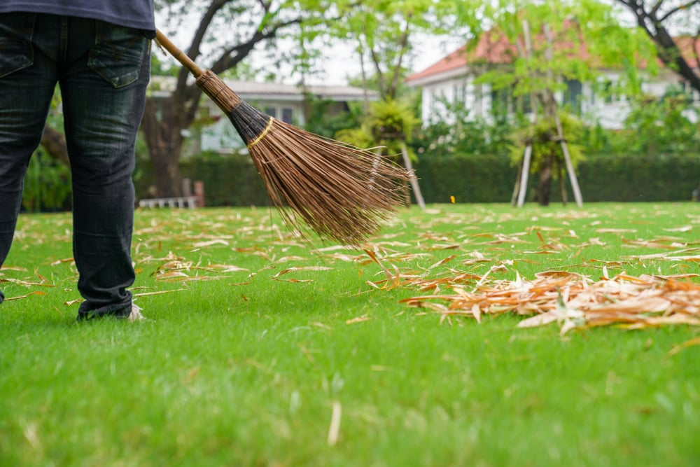 How to Refresh Your Garden This Summer