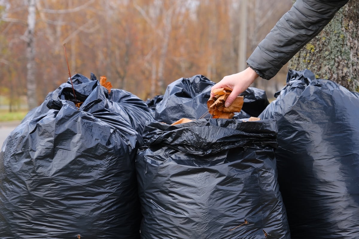 man and van waste removal